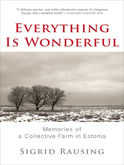 Cover image for Everything Is Wonderful